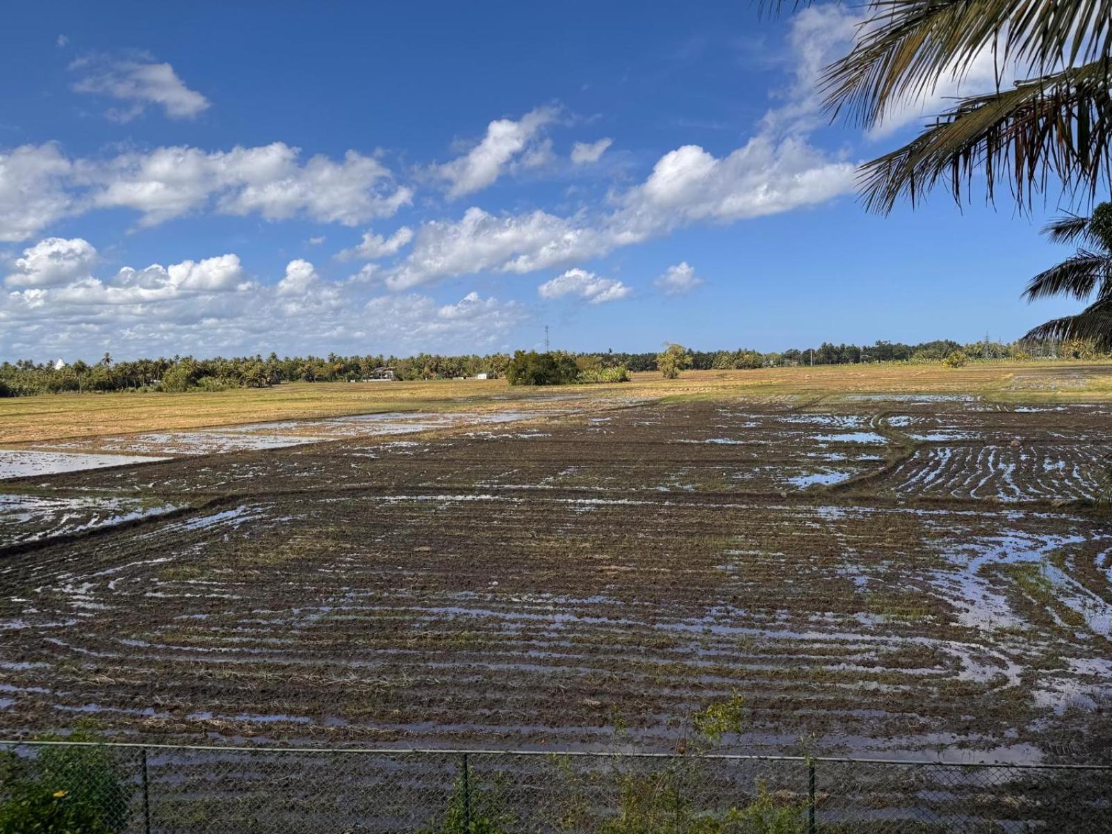 Lavender Home Yala Safari 蒂瑟默哈拉默 外观 照片